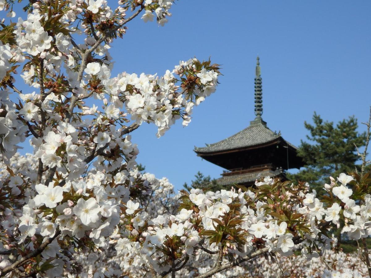 Stay Sakura Kyoto Tsubaki Ngoại thất bức ảnh